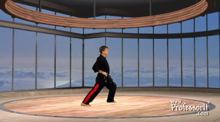 Karate Lessons With Roger Lacombe – Stances and Footwork