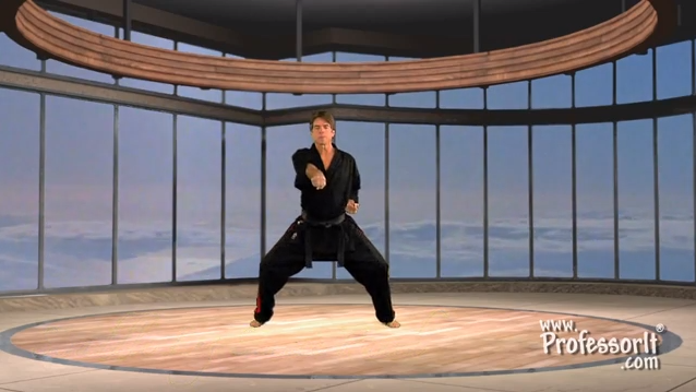 Karate Lessons With Roger Lacombe – Punching