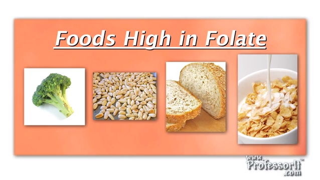 Nutrition And Pregnancy Tips On Video