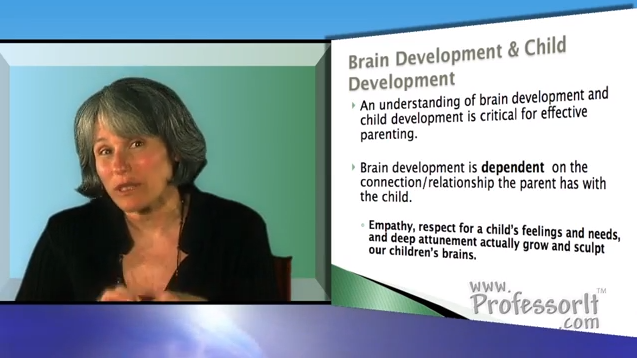 Parenting Advice on video – Brain and Child Development