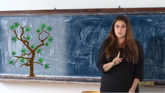 Social Studies Lessons On Seasons